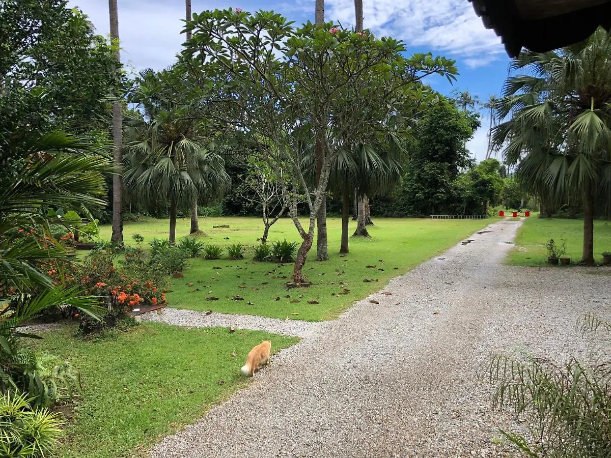 Pondok Keladi Langkawi Guesthouse Pantai Cenang  0*, Pantai Cenang (Langkawi)