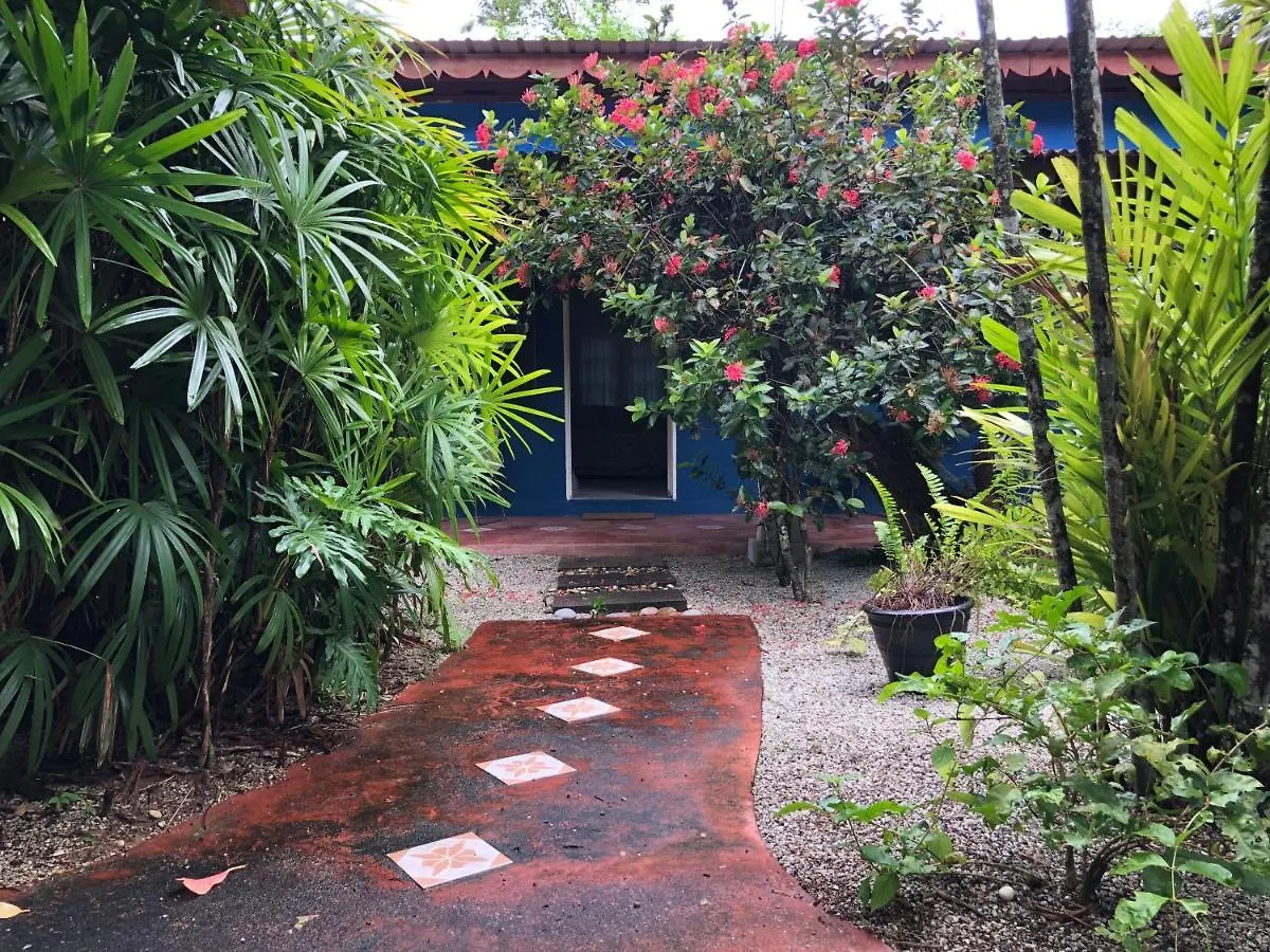Pondok Keladi Langkawi Guesthouse Pantai Cenang