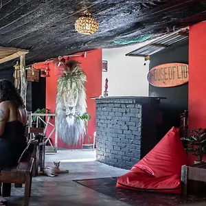  Guest house House Of Lion