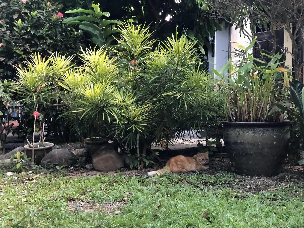 Pondok Keladi Langkawi Guesthouse Pantai Cenang  0*, Pantai Cenang (Langkawi) Malaysia