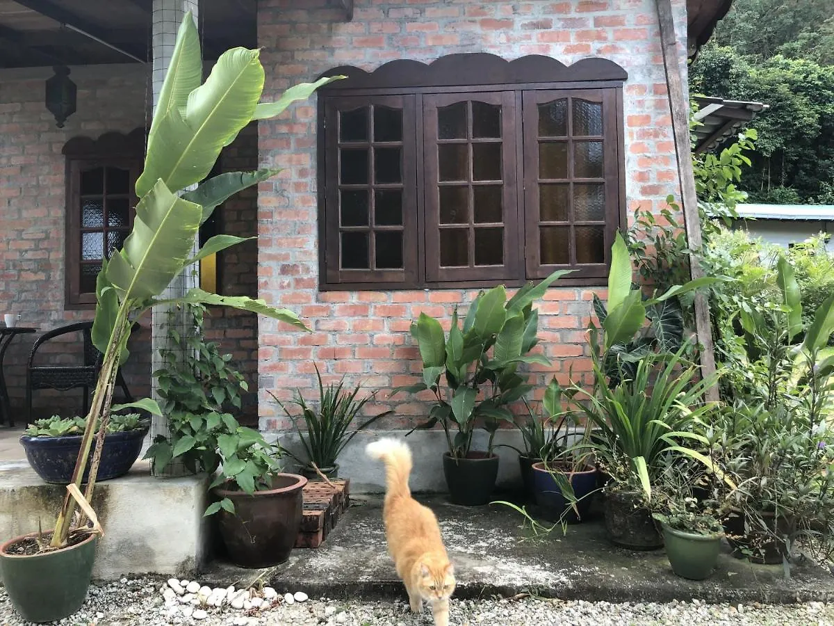 Pondok Keladi Langkawi Guesthouse Pantai Cenang  Malaysia