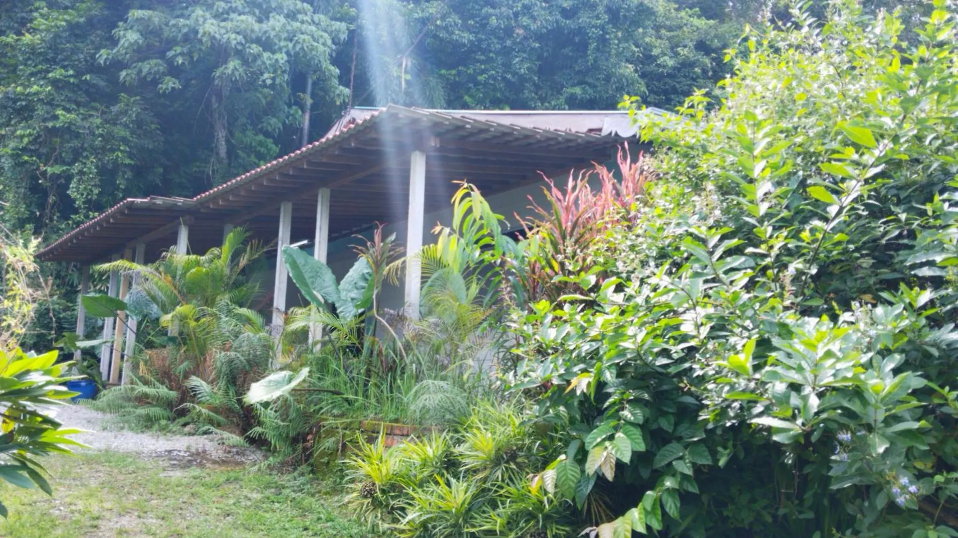 Pondok Keladi Langkawi Guesthouse Pantai Cenang  Pantai Cenang (Langkawi)