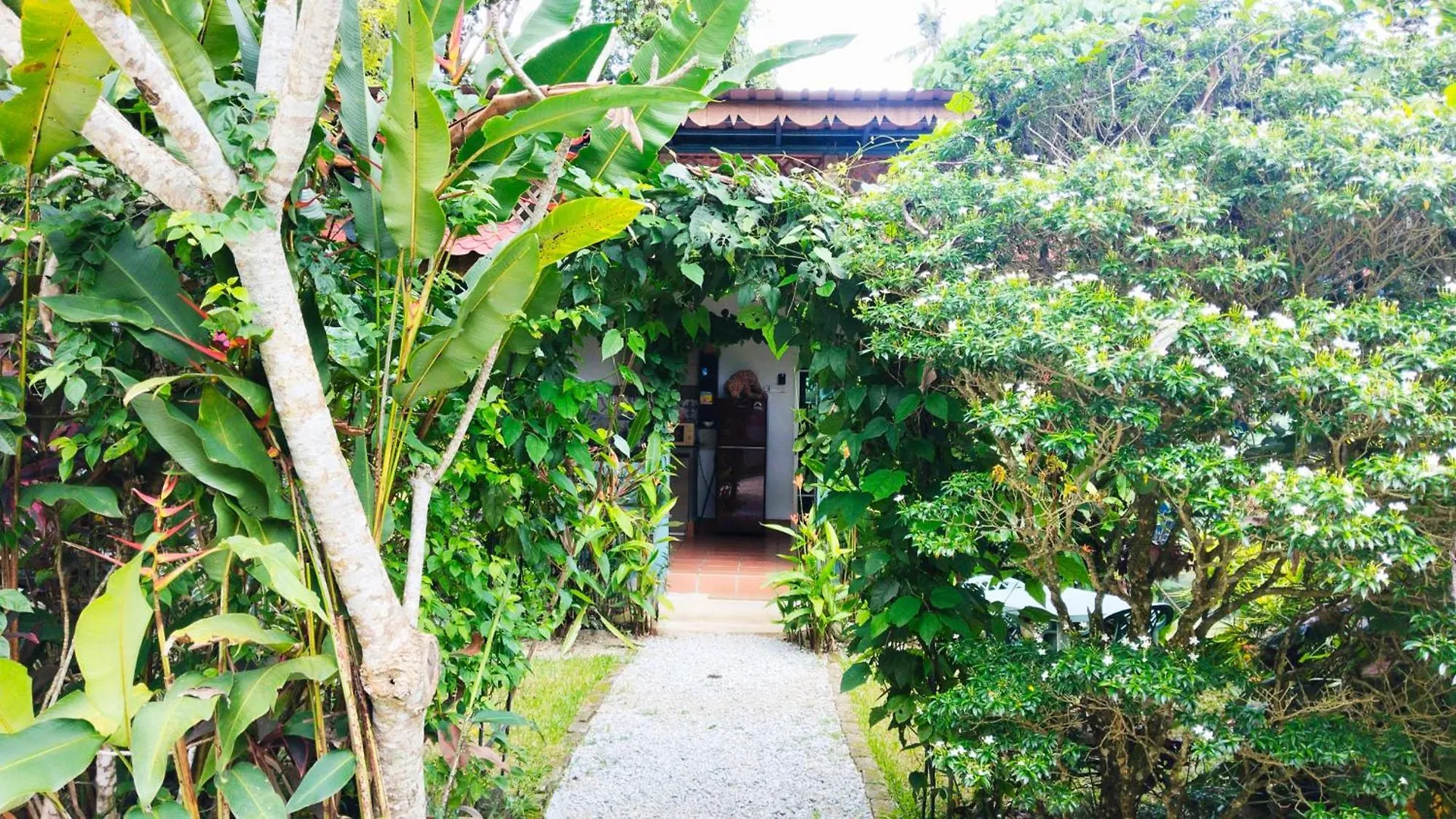 Pondok Keladi Langkawi Guesthouse Pantai Cenang  Guest house Pantai Cenang (Langkawi)